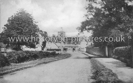 A view of Felsted from Chelmsford Road, Felsted, Essex. c.1908.